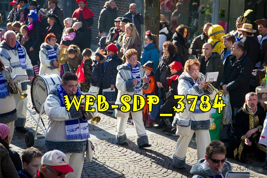 WEB SDP 3784