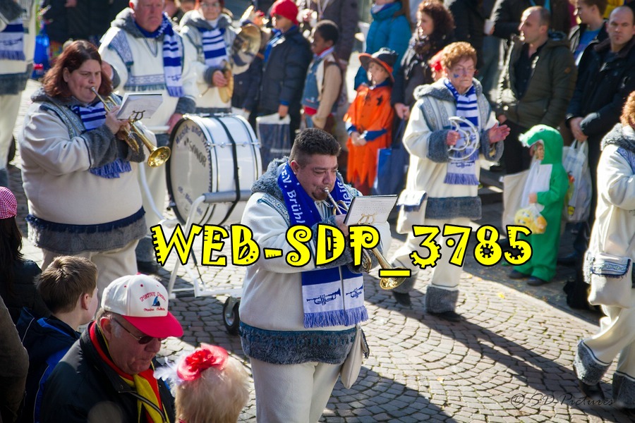 WEB SDP 3785