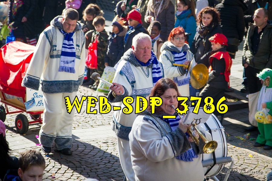 WEB SDP 3786