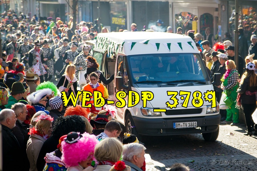 WEB SDP 3789