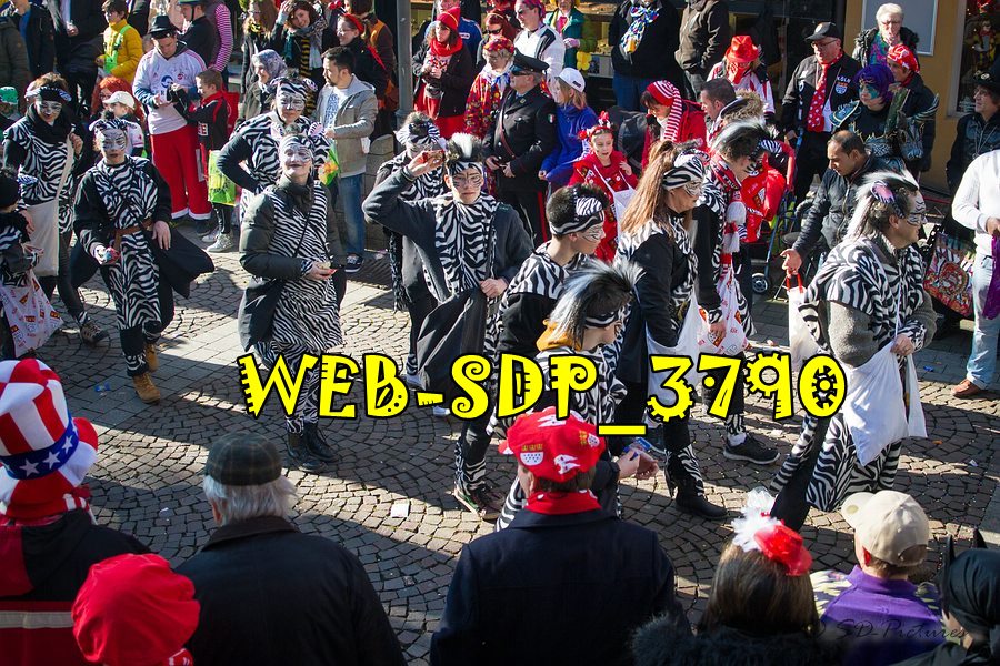 WEB SDP 3790