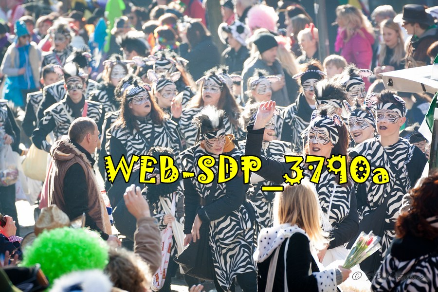 WEB SDP 3790a
