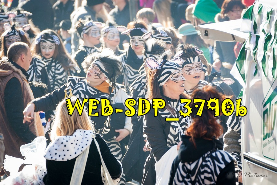 WEB SDP 3790b