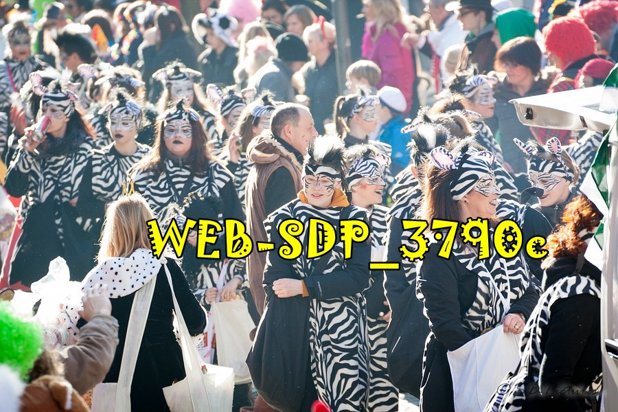 WEB SDP 3790c