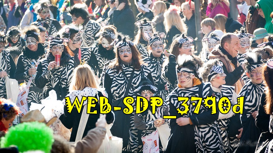 WEB SDP 3790d