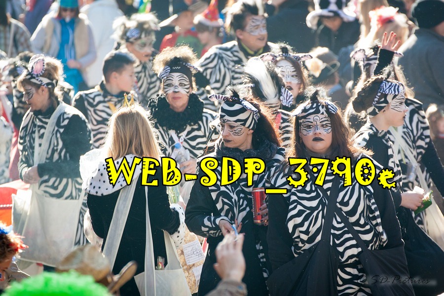 WEB SDP 3790e
