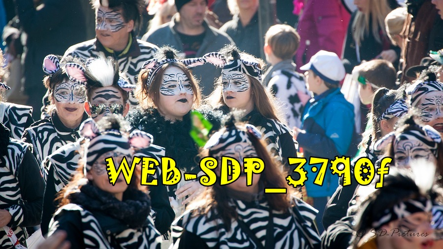 WEB SDP 3790f