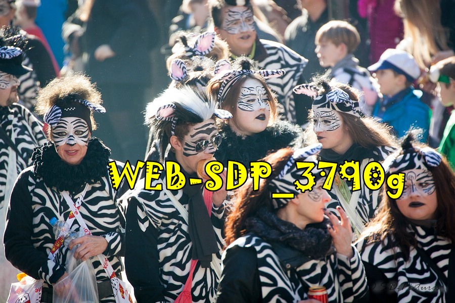 WEB SDP 3790g