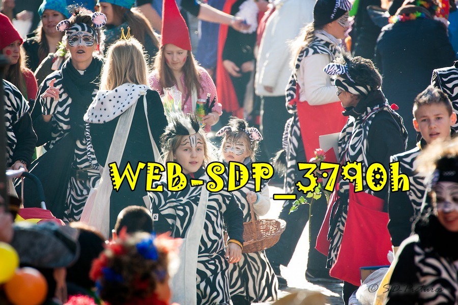 WEB SDP 3790h