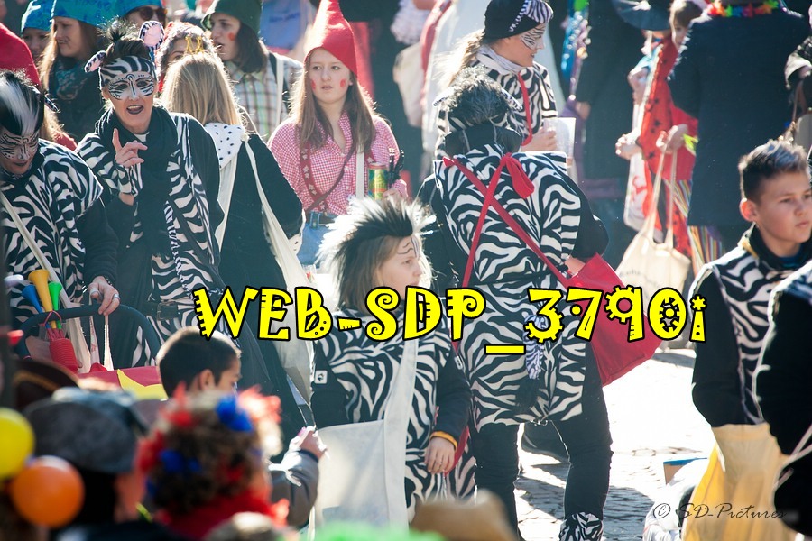WEB SDP 3790i