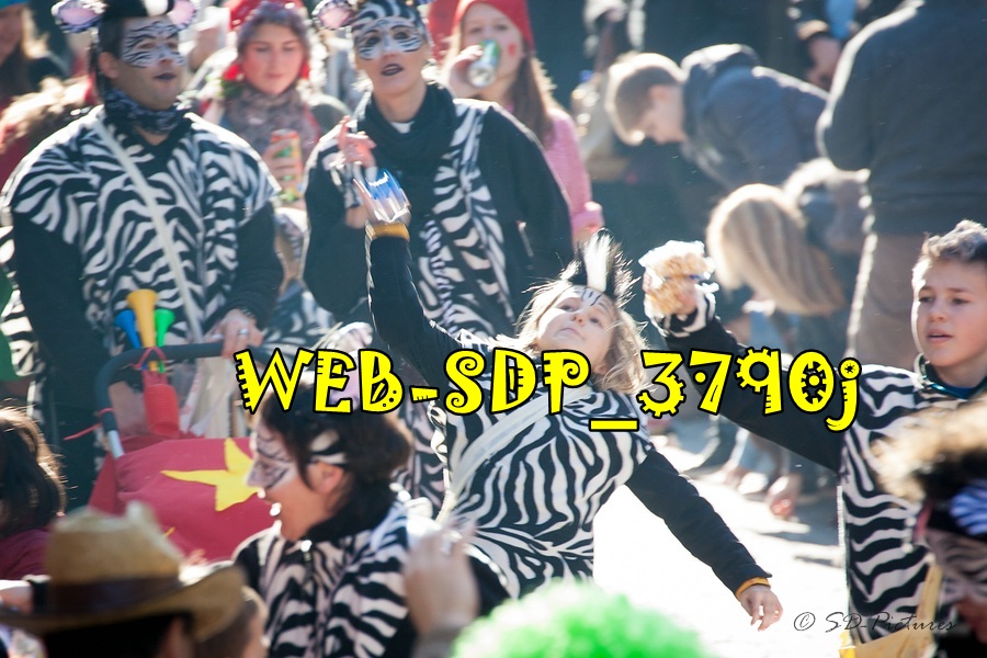 WEB SDP 3790j