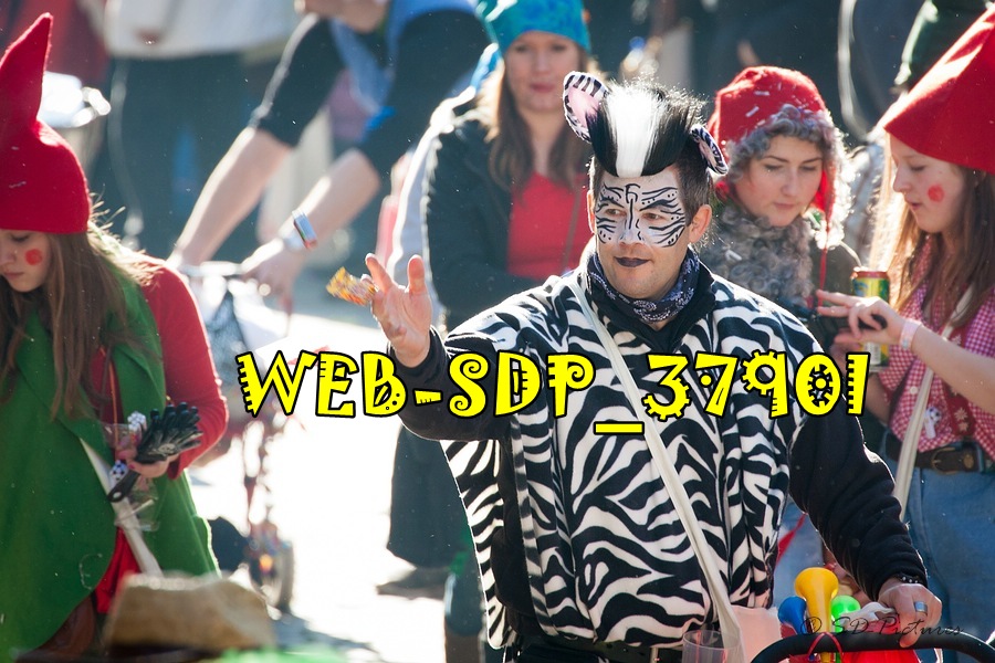 WEB SDP 3790l