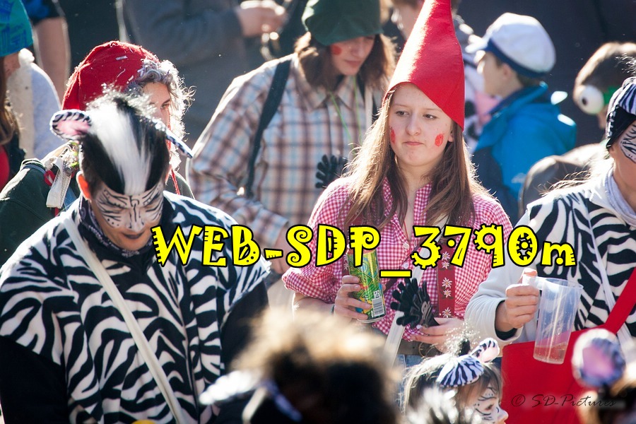 WEB SDP 3790m