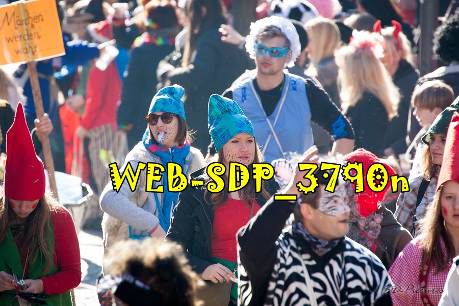 WEB SDP 3790n