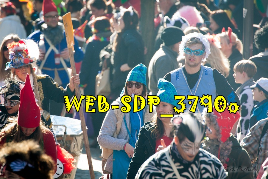 WEB SDP 3790o