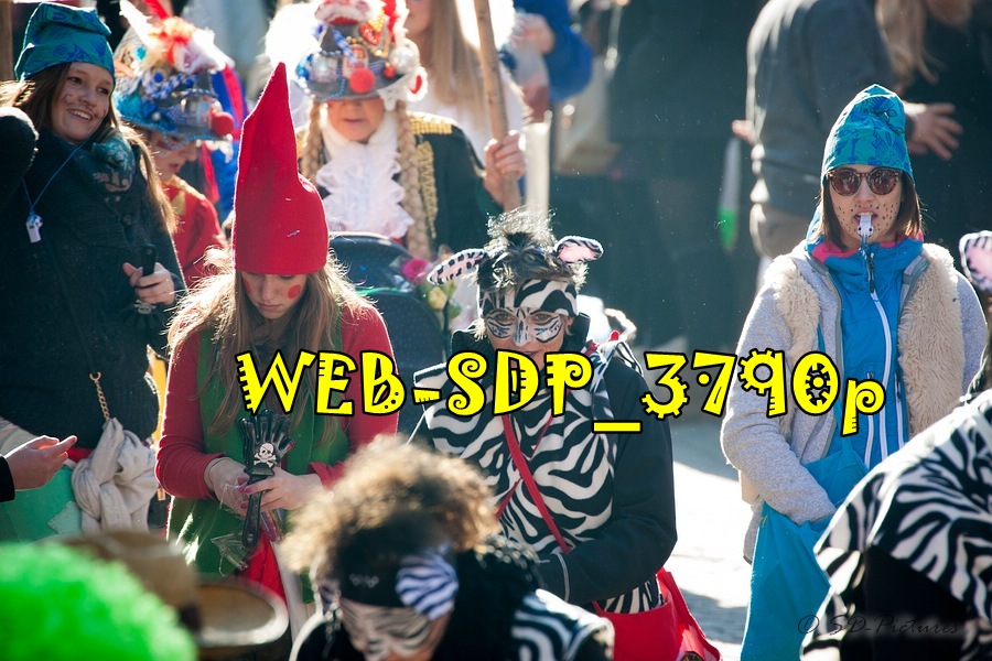 WEB SDP 3790p