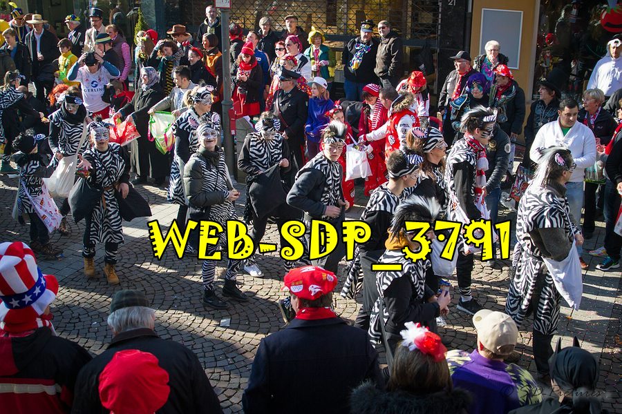 WEB SDP 3791