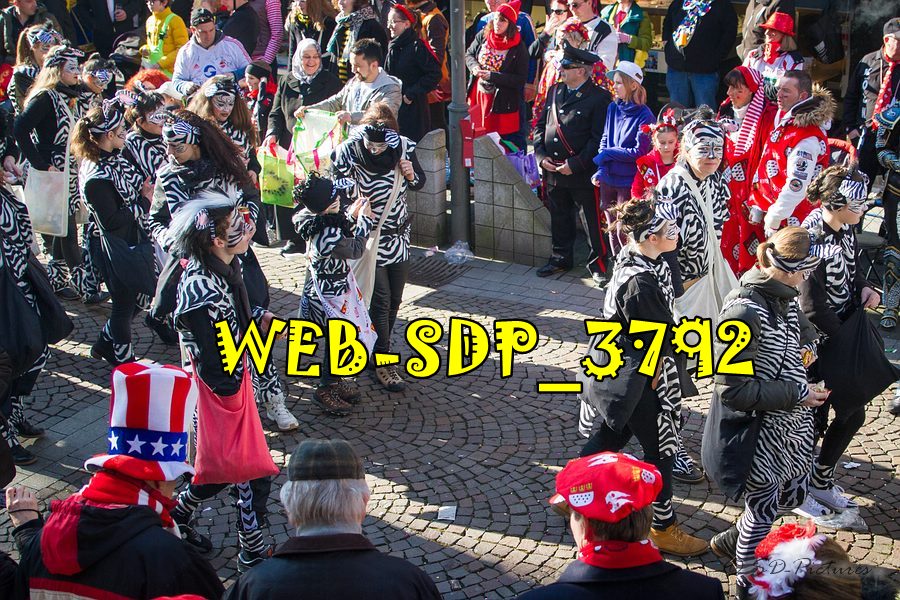 WEB SDP 3792