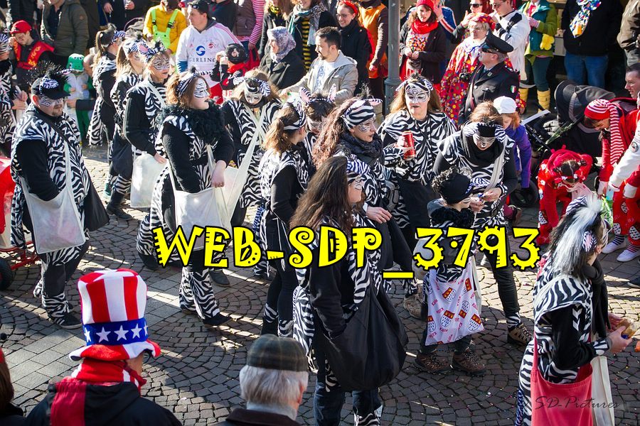 WEB SDP 3793