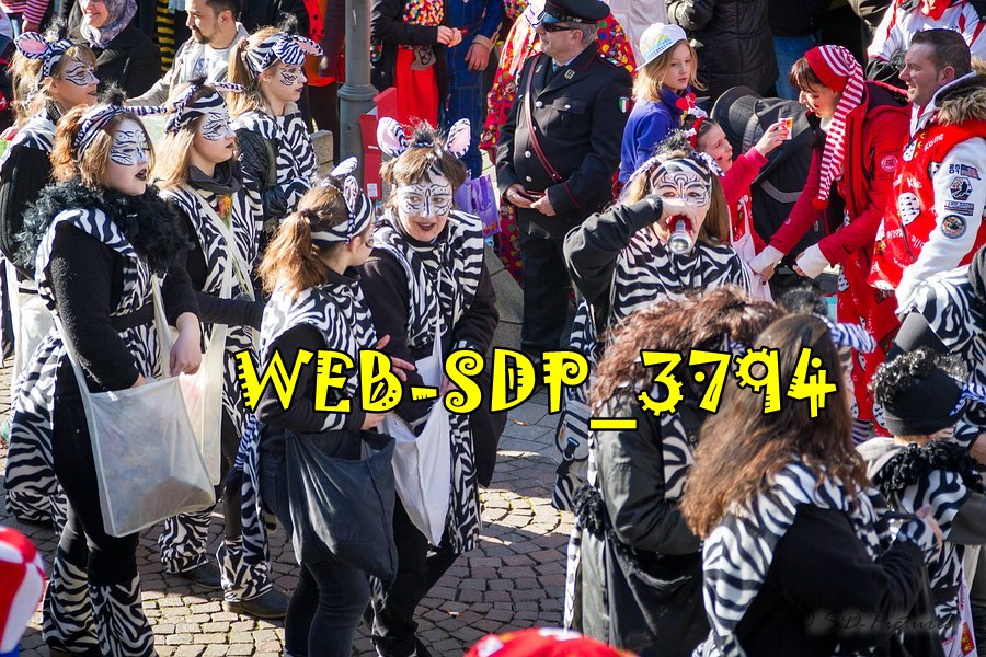 WEB SDP 3794