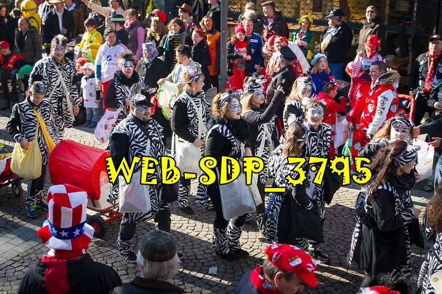 WEB SDP 3795