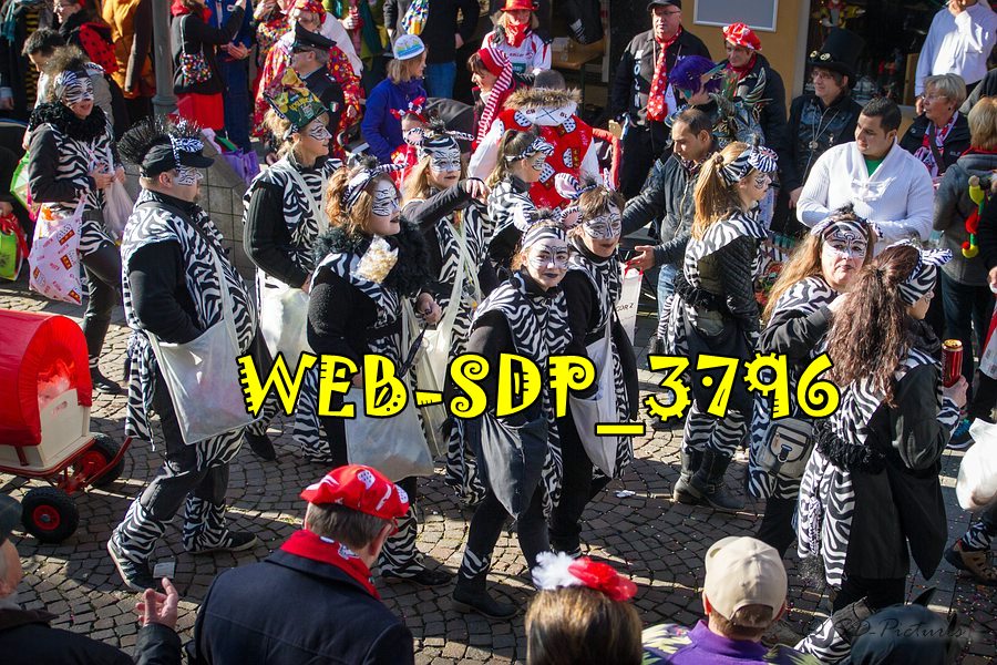 WEB SDP 3796