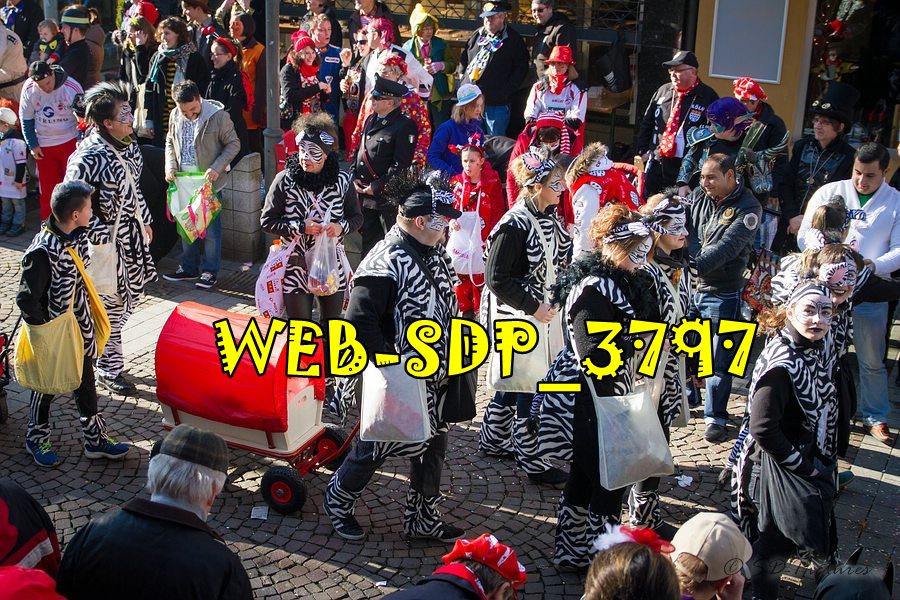 WEB SDP 3797