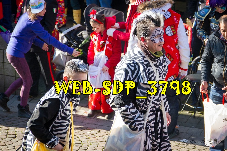 WEB SDP 3798