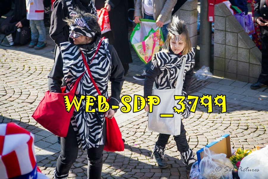 WEB SDP 3799