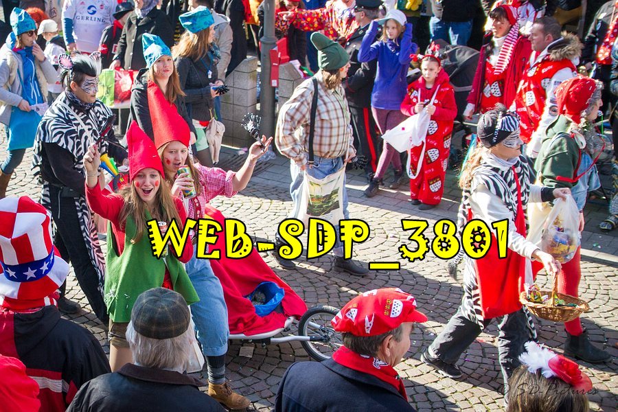 WEB SDP 3801
