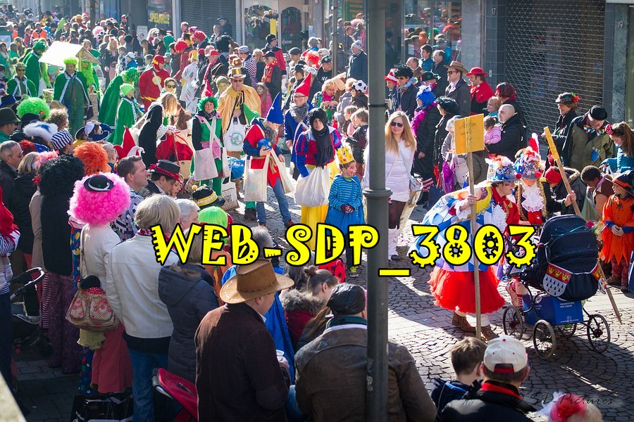 WEB SDP 3803