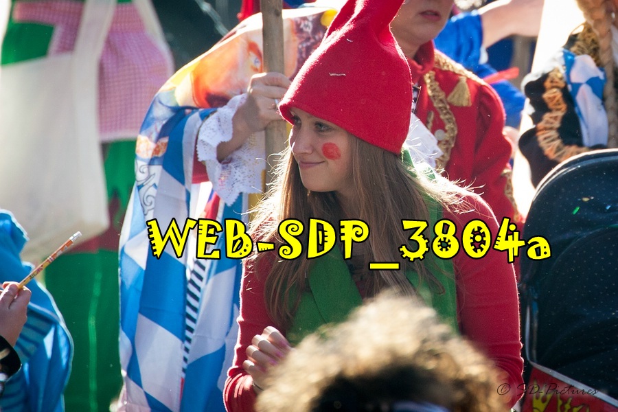 WEB SDP 3804a