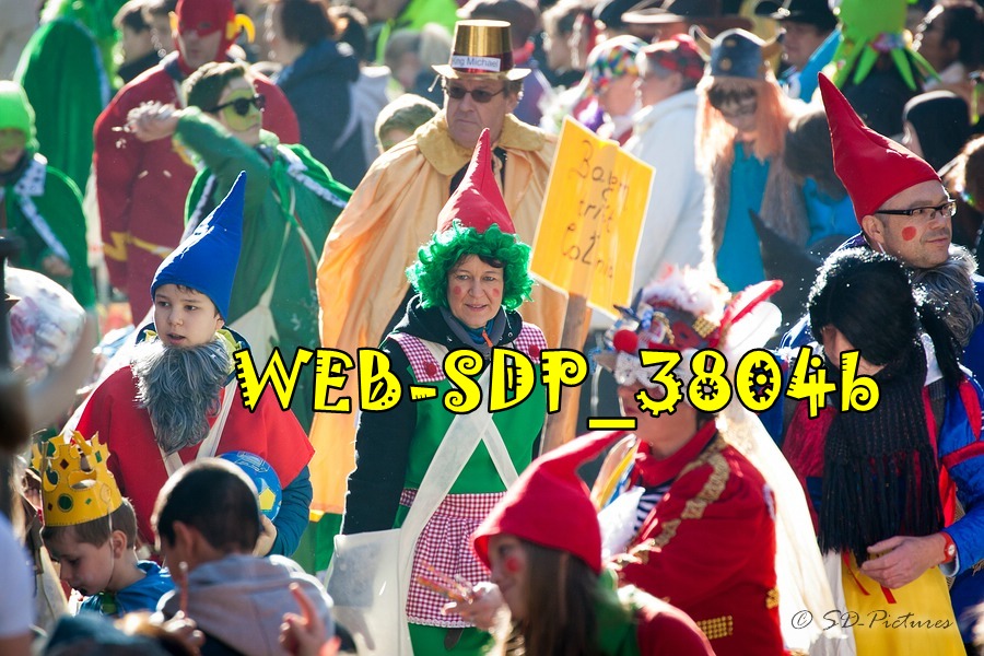 WEB SDP 3804b