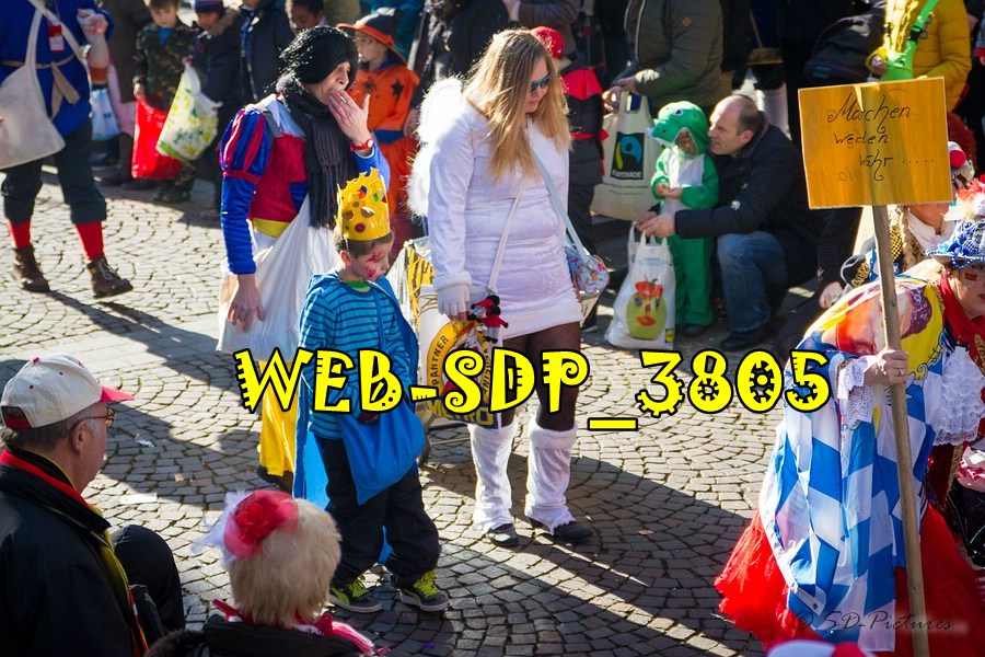 WEB SDP 3805