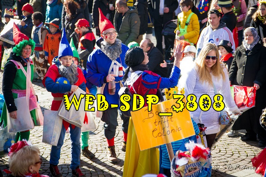 WEB SDP 3808
