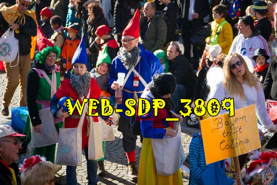 WEB SDP 3809