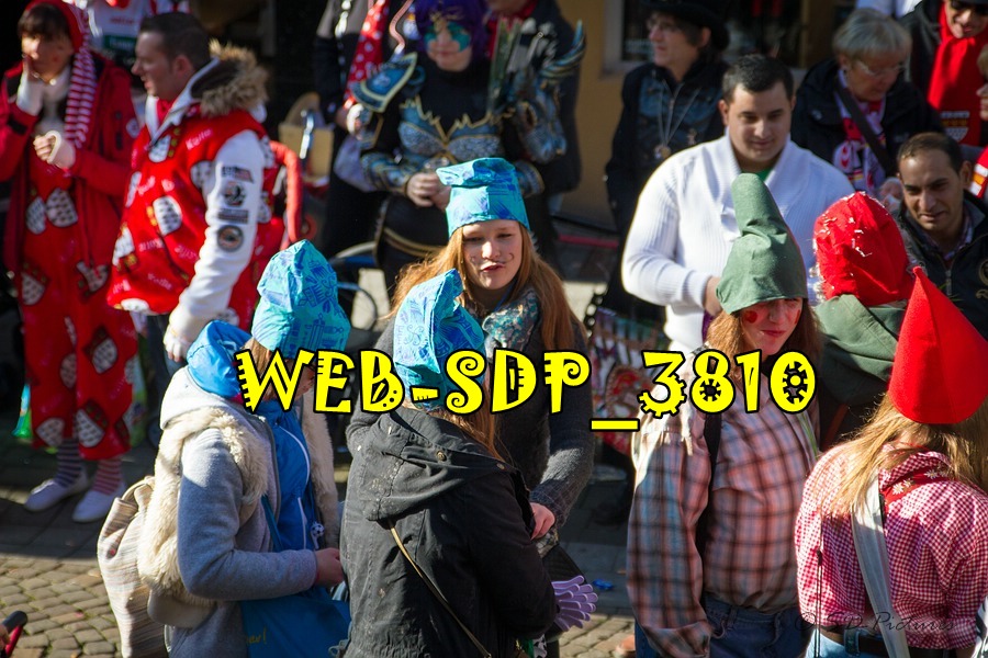 WEB SDP 3810