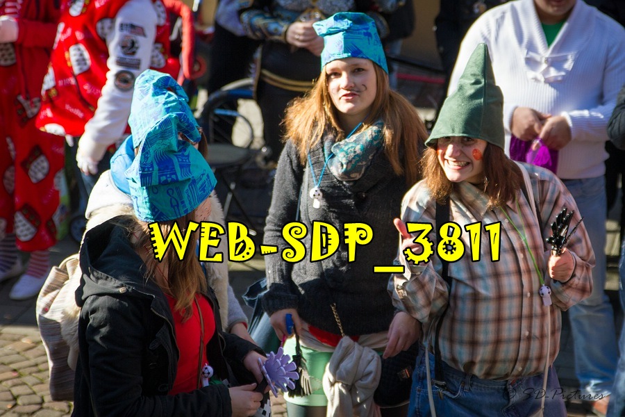WEB SDP 3811