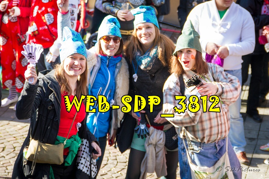 WEB SDP 3812