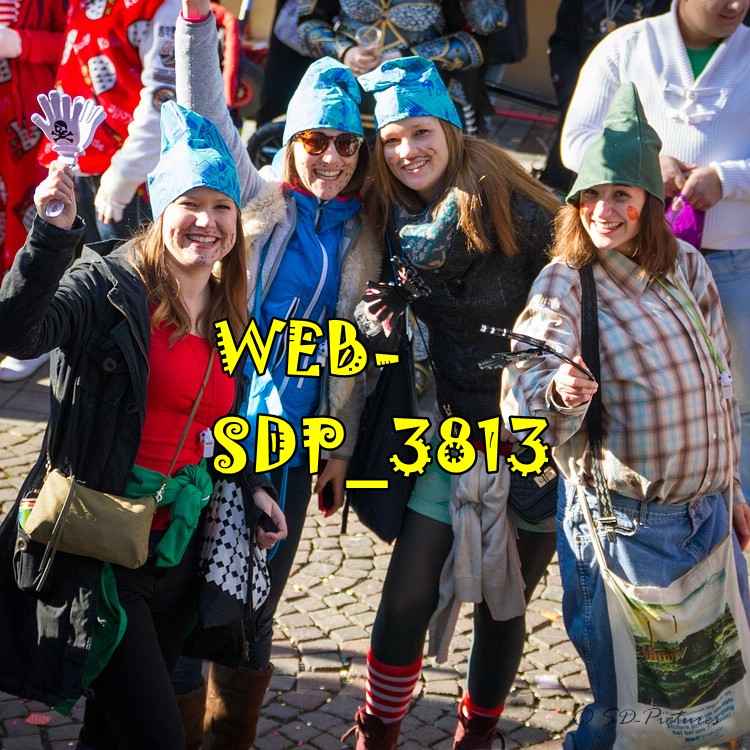 WEB SDP 3813