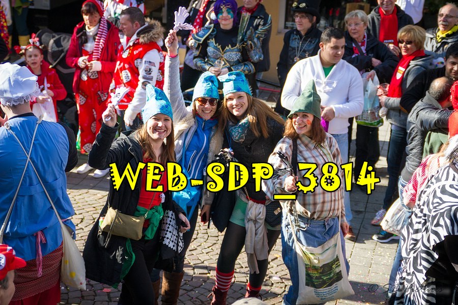 WEB SDP 3814