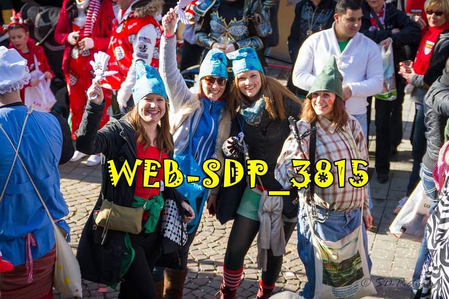 WEB SDP 3815