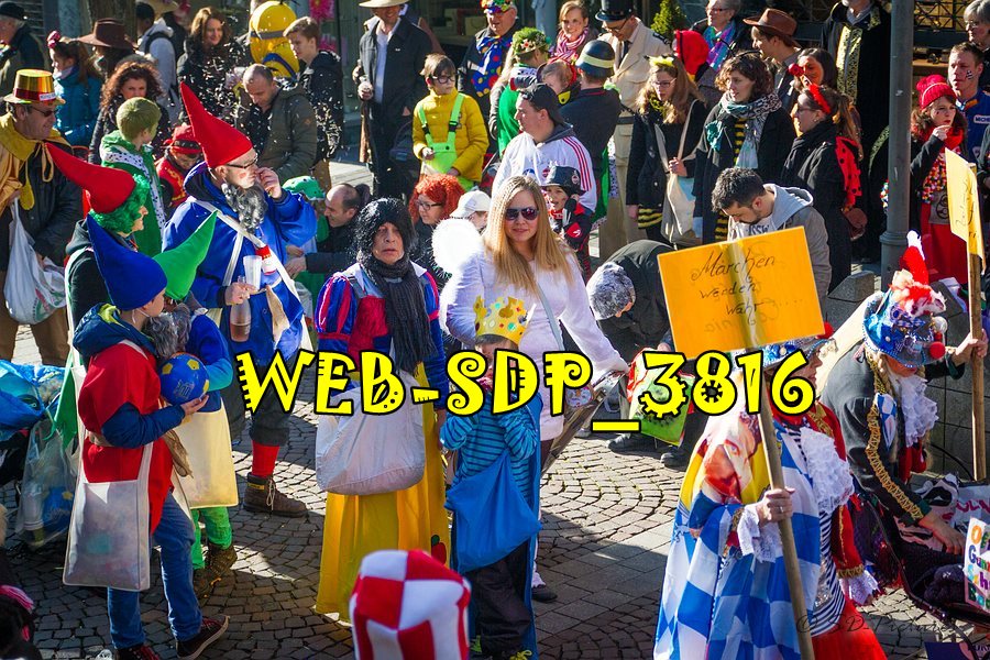 WEB SDP 3816
