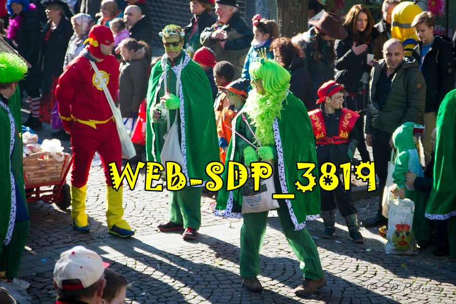 WEB SDP 3819