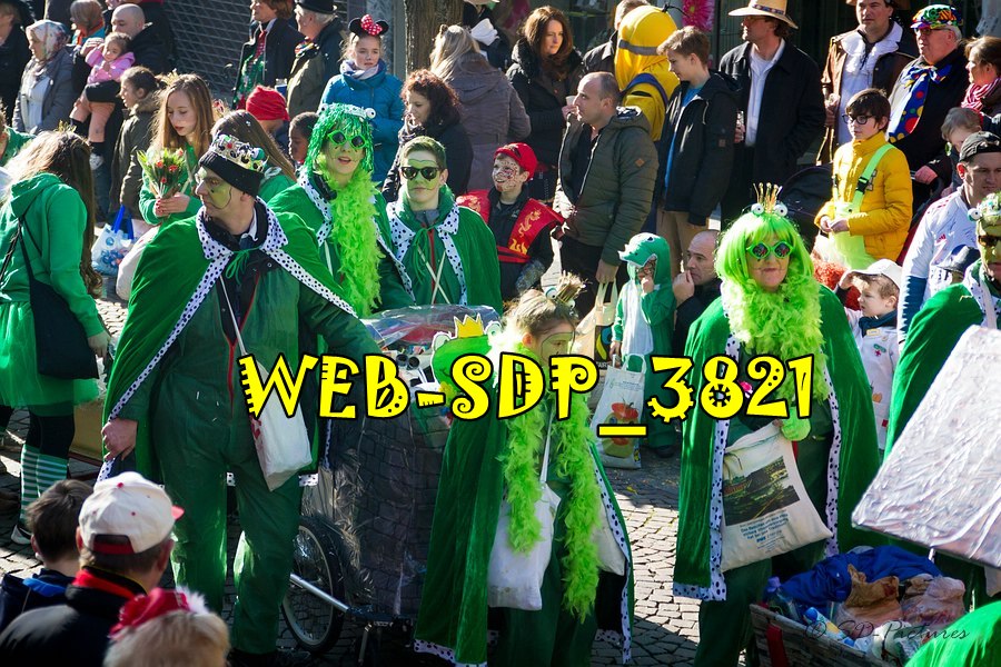 WEB SDP 3821