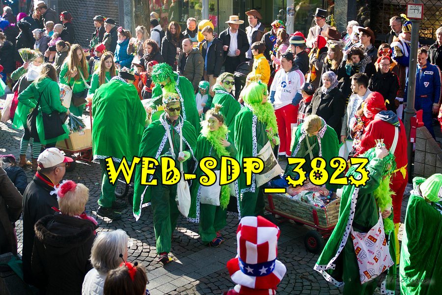 WEB SDP 3823
