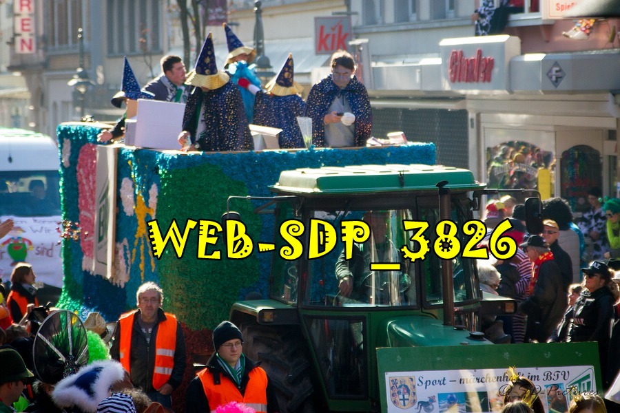 WEB SDP 3826