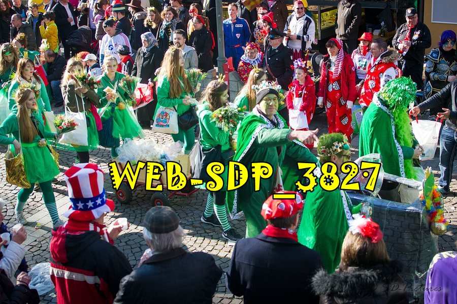 WEB SDP 3827