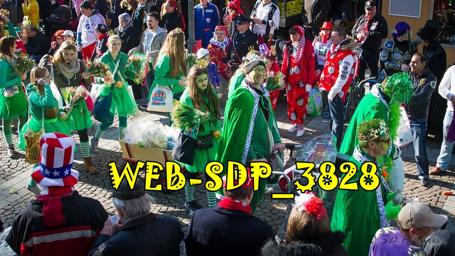 WEB SDP 3828