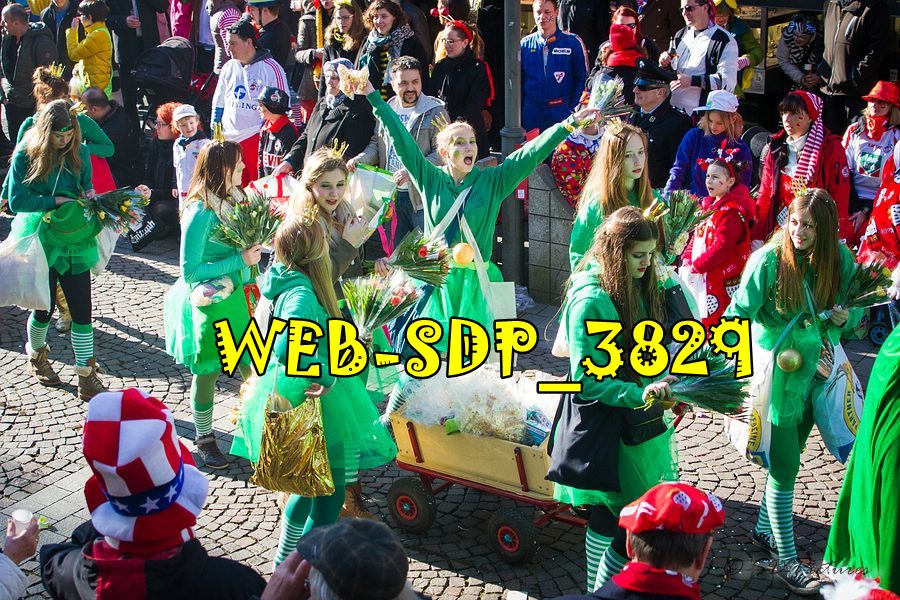 WEB SDP 3829